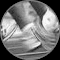 Alliansf�reningen EAI-73